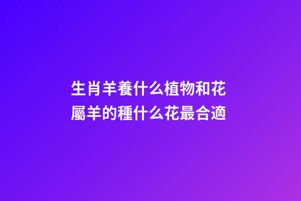 生肖羊養什么植物和花 屬羊的種什么花最合適-第1張-觀點-玄機派